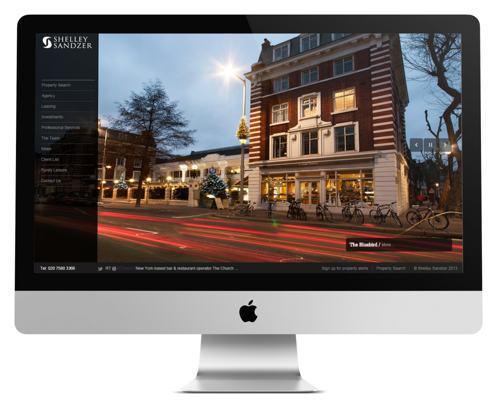 Shelley Sandzer website development